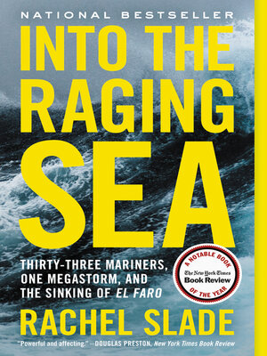 cover image of Into the Raging Sea